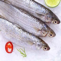 Cá đối đã làm sạch, đảm bảo tươi ngon